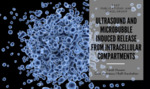 Ultrasound and Microbubble Induced Release From Intracellular Compartments_coverimage_Nov2023
