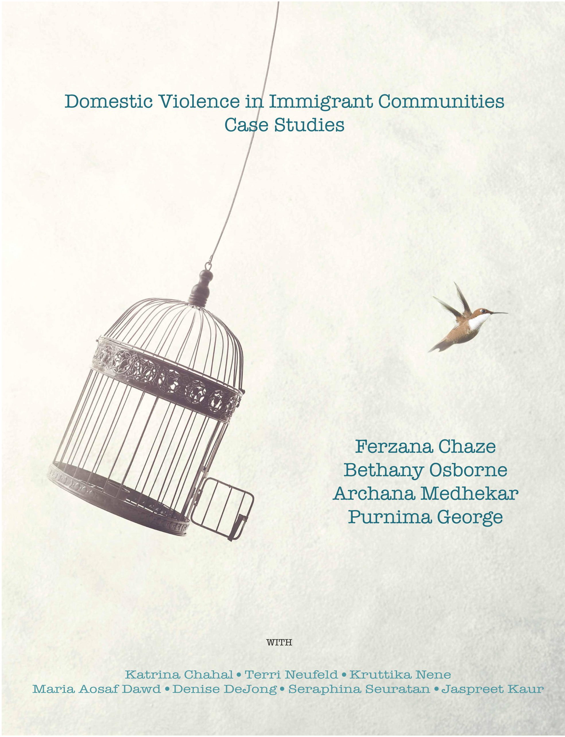 Domestic Violence in Immigrant Communities: Breaking the Cycle