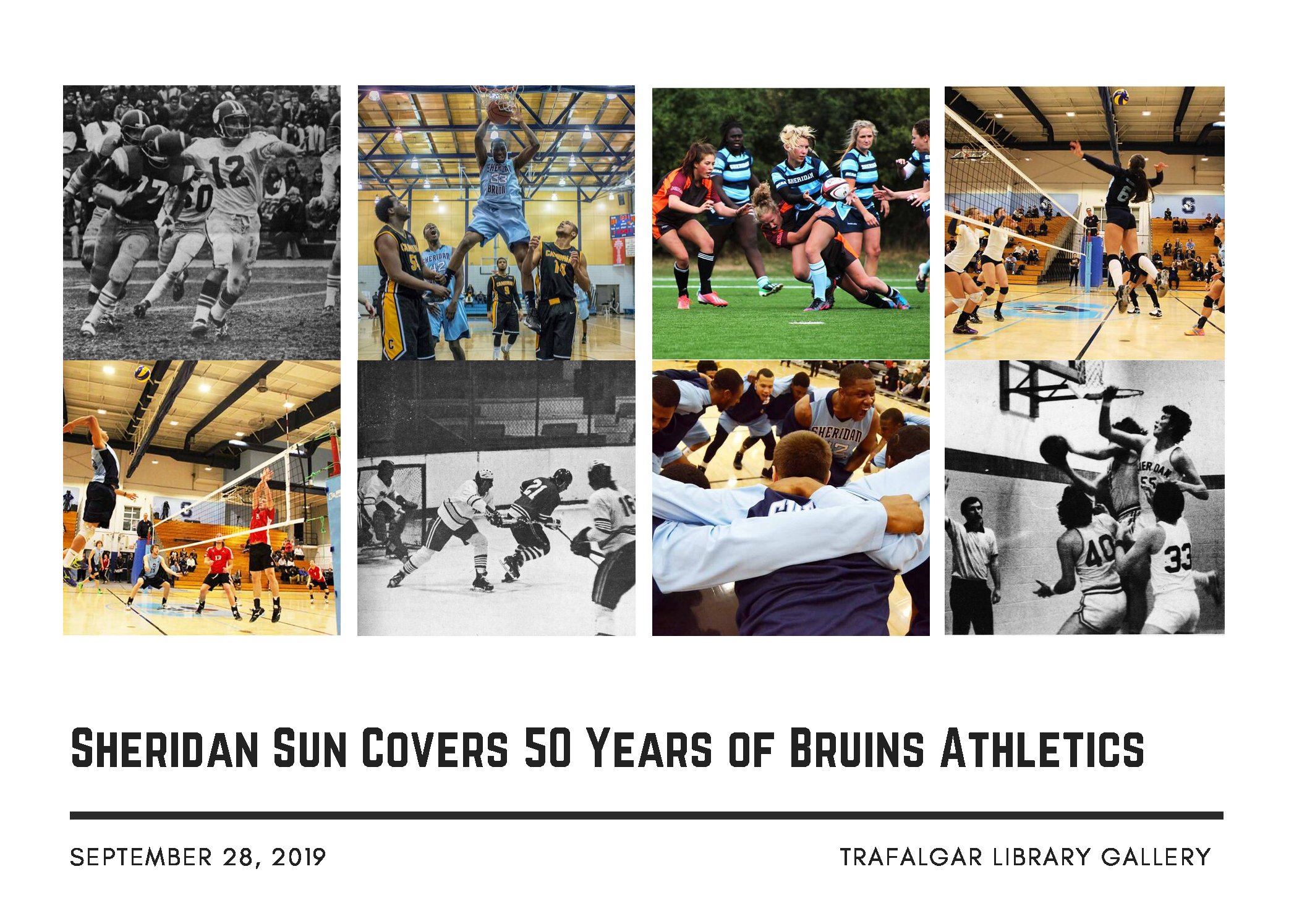 50 Years of Bruins Athletics