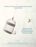 Domestic Violence in Immigrant Communities: Case Studies (Brazilian Portuguese) by Ferzana Chaze, Bethany Osborne, Archana Medhekar, and Purnima George