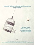 Domestic Violence in Immigrant Communities: Case Studies by Ferzana Chaze, Bethany Osborne, Archana Medhekar, and Purnima George